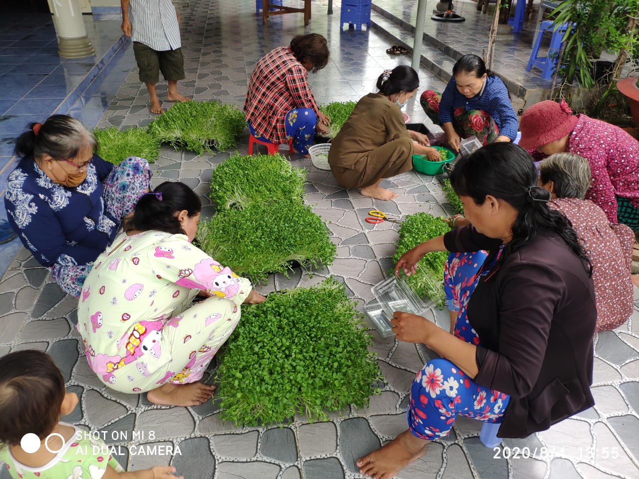 Tin - Bế giảng lớp chuyển giao khoa học và công nghệ mô hình trồng rau mầm tại xã Thạnh Tân (3).jpg
