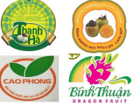 Điểm yếu của các sản phẩm bảo hộ “chỉ dẫn địa lý” trong nước