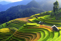 Hỗ trợ khởi nghiệp và đầu tư vùng miền núi