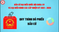 Quy trình bỏ phiếu bầu cử