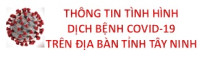 Thong tin tinh hinh dich