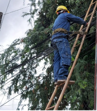 Tây Ninh tiếp tục chỉnh trang, làm gọn cáp viễn thông trên cột điện