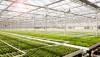 Công nghệ nông nghiệp của startup Koidra huy động 4,5 triệu USD