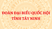 Văn phòng Đoàn ĐBQH và HĐND tỉnh Tây Ninh ra mắt tài khoản Zalo Official Account "Đoàn Đại biểu Quốc hội tỉnh Tây Ninh"