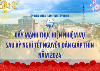 Đẩy mạnh thực hiện nhiệm vụ sau kỳ nghỉ Tết Nguyên Đán Giáp Thìn năm 2024