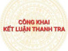 Kết luận thanh tra chuyên ngành về tiêu chuẩn, đo lường, chất lượng