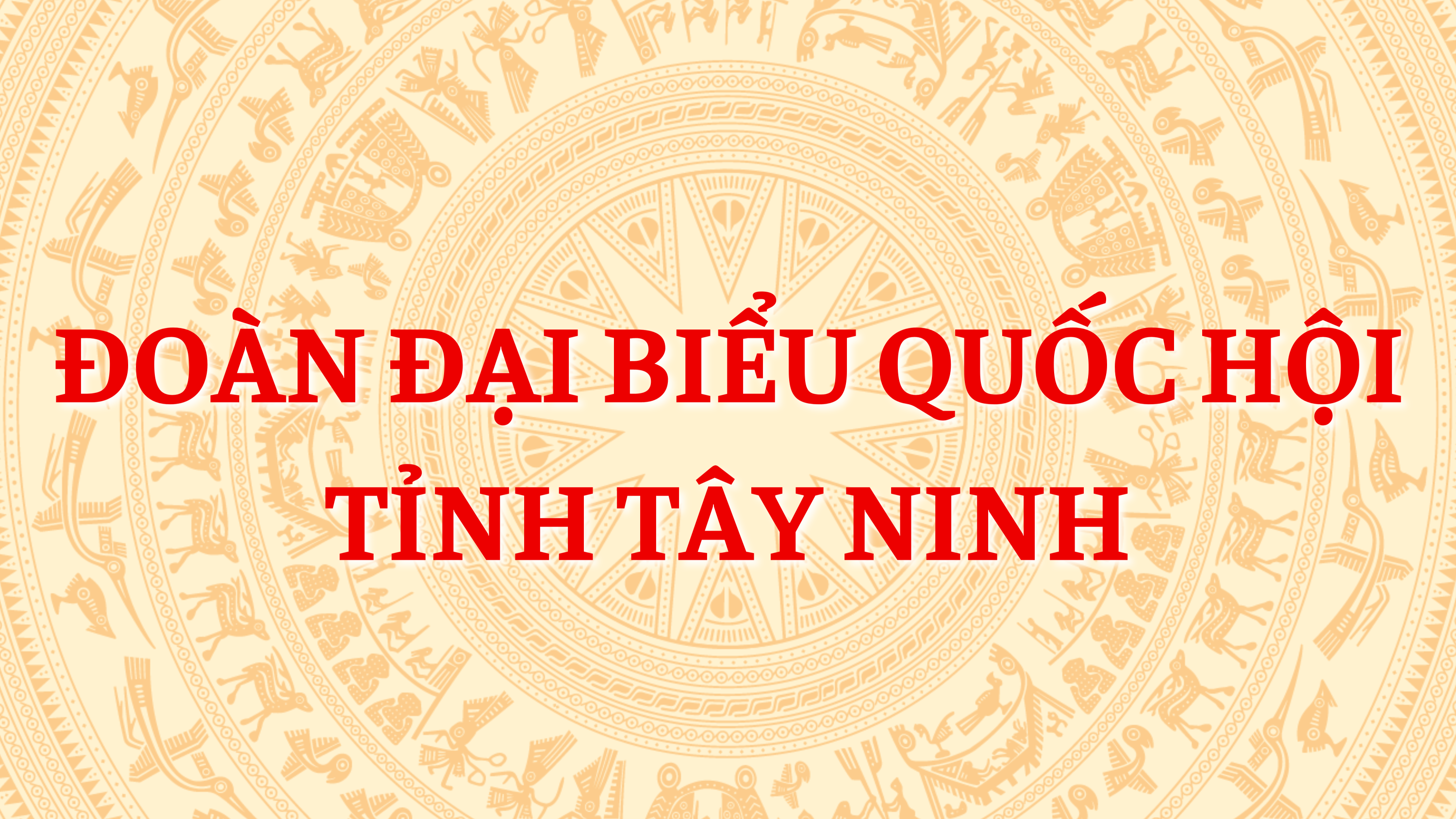 baner doan dai bieu quoc hoi